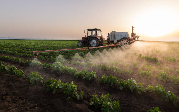 Best Local Pest Control Services  in Wenona, IL