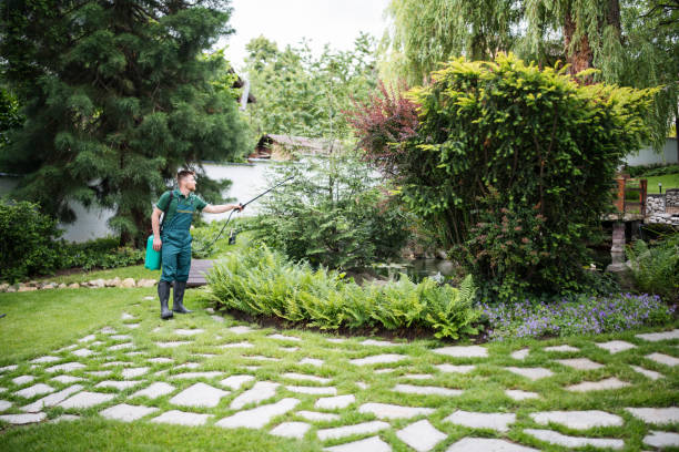 Best Affordable Pest Control Services  in Wenona, IL