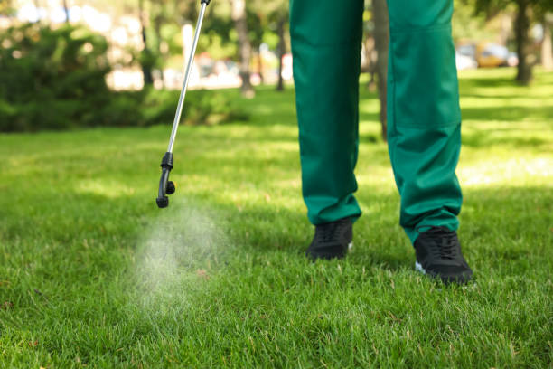 Best Pest Control for Restaurants  in Wenona, IL