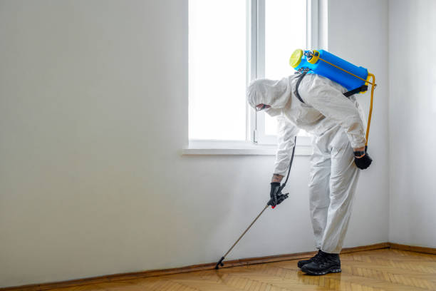 Best Mosquito Control Services  in Wenona, IL