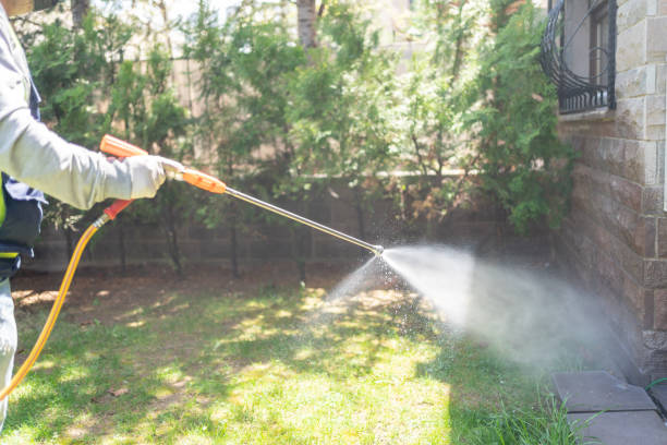 Best Affordable Pest Control Services  in Wenona, IL