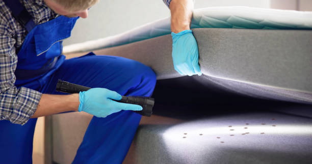Best Pest Prevention Services  in Wenona, IL
