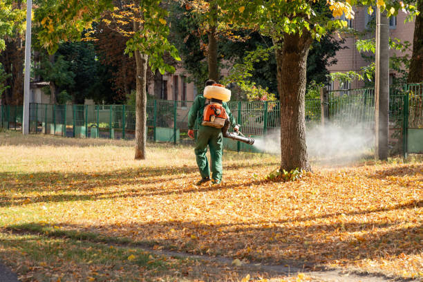 Best Pest Control Cost  in Wenona, IL