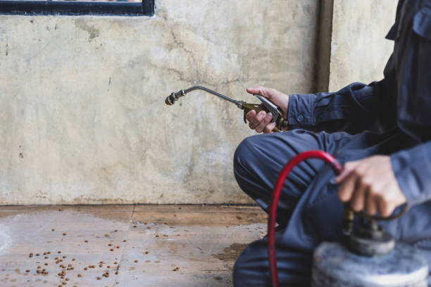 Best Termite Control Services  in Wenona, IL